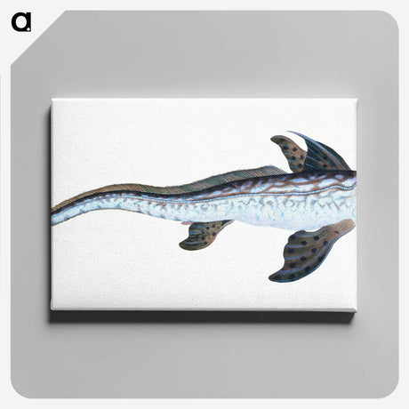 1-76_The-Natural-History-of-British-Fishes_canvas