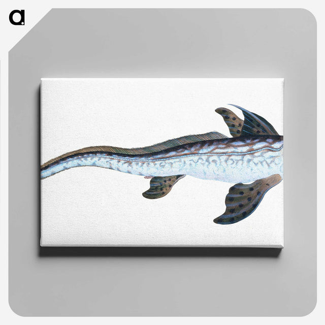 1-76_The-Natural-History-of-British-Fishes_canvas