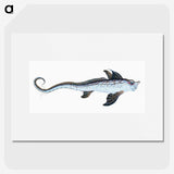 1-76_The-Natural-History-of-British-Fishes_picture