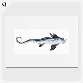 1-76_The-Natural-History-of-British-Fishes_picture