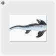 1-76_The-Natural-History-of-British-Fishes_postcard