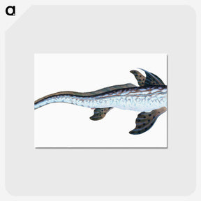 1-76_The-Natural-History-of-British-Fishes_postcard