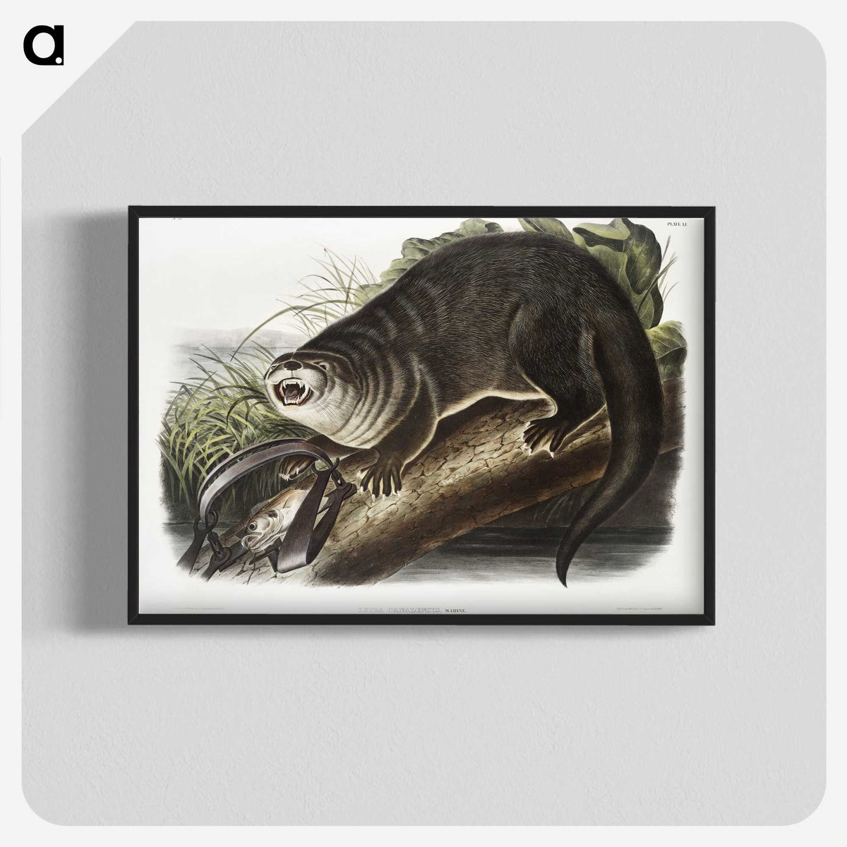 1-76_The-Viviparous-Quadrupeds_blk-crop