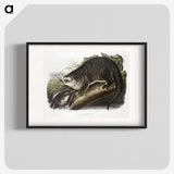 1-76_The-Viviparous-Quadrupeds_blk