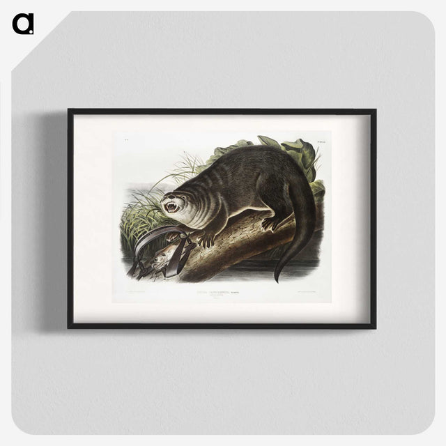 1-76_The-Viviparous-Quadrupeds_blk
