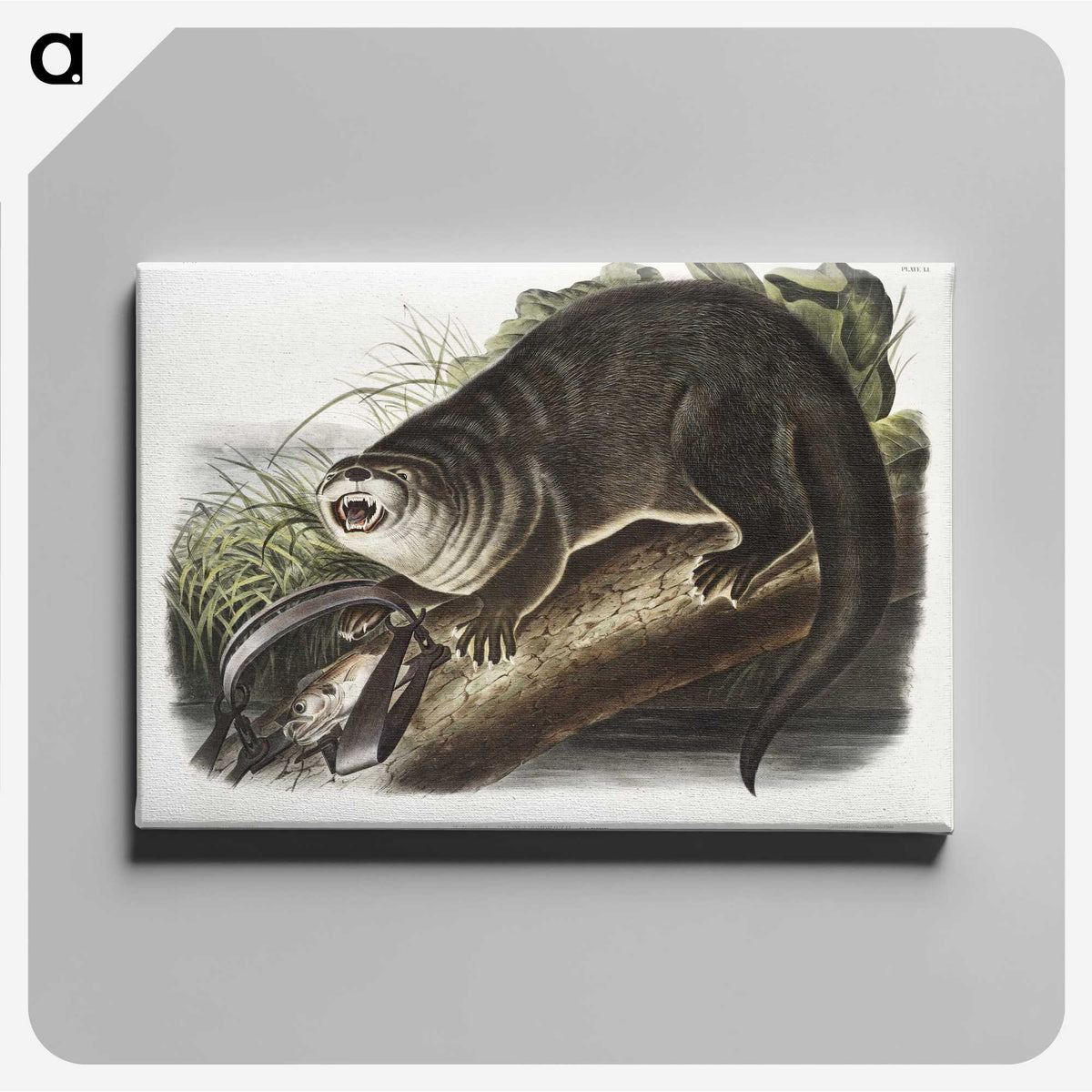1-76_The-Viviparous-Quadrupeds_canvas