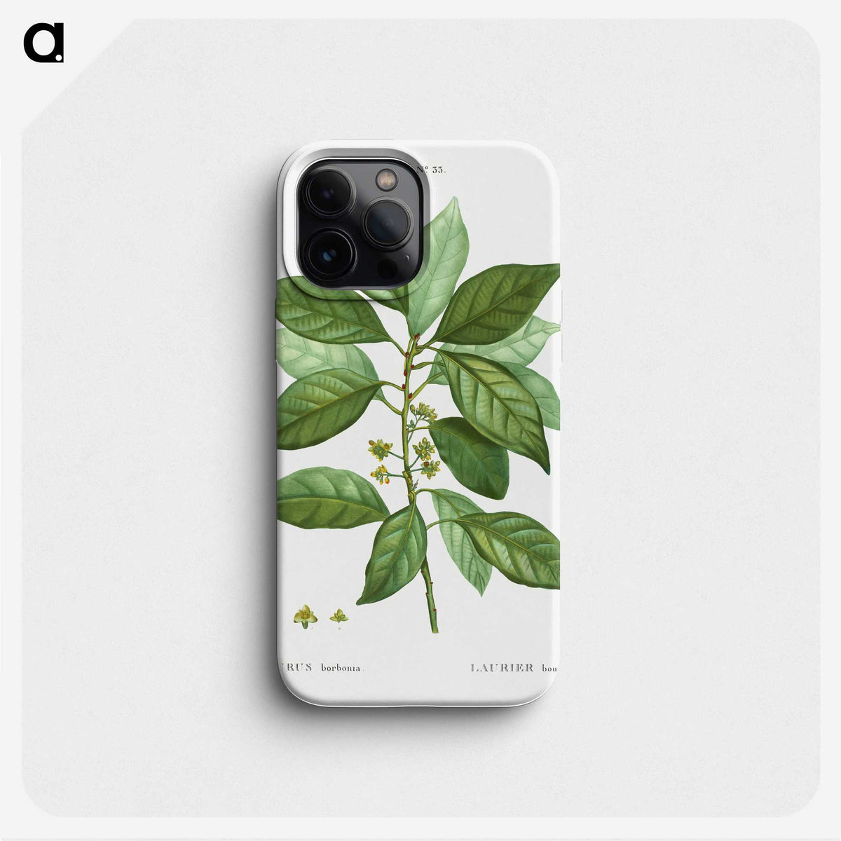 1-76_Treatise-on-Trees-and-Shrubs_phone