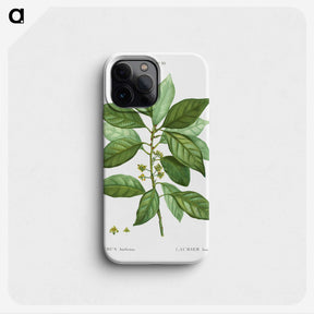 1-76_Treatise-on-Trees-and-Shrubs_phone