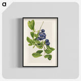 1-76_USDA-Watercolor-Fruit-Painting-Collection_blk-crop