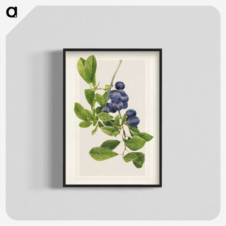 1-76_USDA-Watercolor-Fruit-Painting-Collection_blk-crop