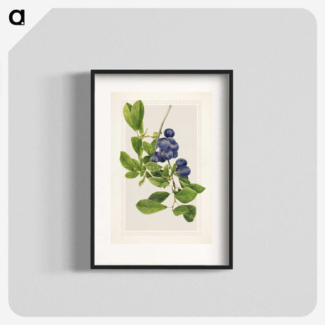 1-76_USDA-Watercolor-Fruit-Painting-Collection_blk