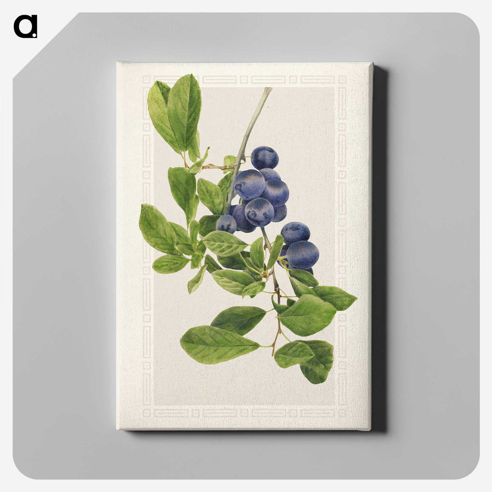 1-76_USDA-Watercolor-Fruit-Painting-Collection_canvas
