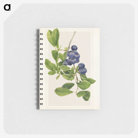 1-76_USDA-Watercolor-Fruit-Painting-Collection_memo