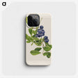 1-76_USDA-Watercolor-Fruit-Painting-Collection_phone