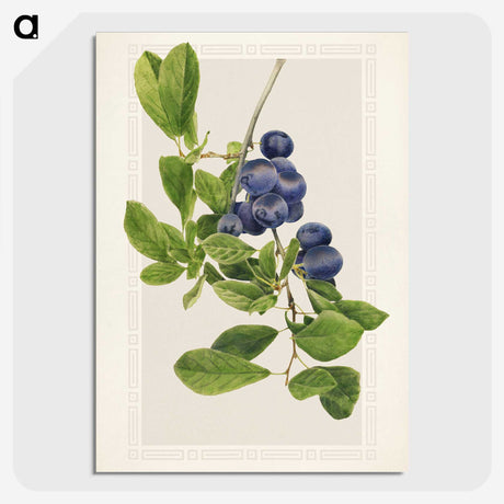 1-76_USDA-Watercolor-Fruit-Painting-Collection_picture-crop