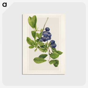 1-76_USDA-Watercolor-Fruit-Painting-Collection_postcard
