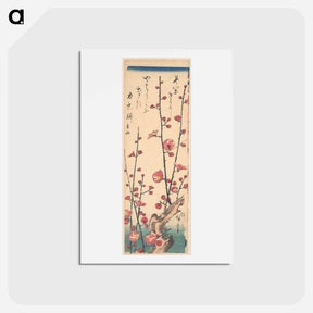 アートポストカード-Red Blossom Plum
 - 歌川 広重 Postcard.