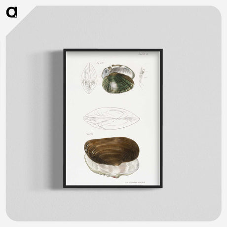 1-76_Zoology-of-New-York_blk-crop