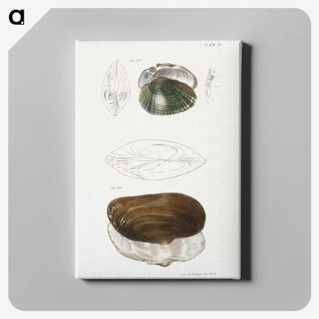 1-76_Zoology-of-New-York_canvas