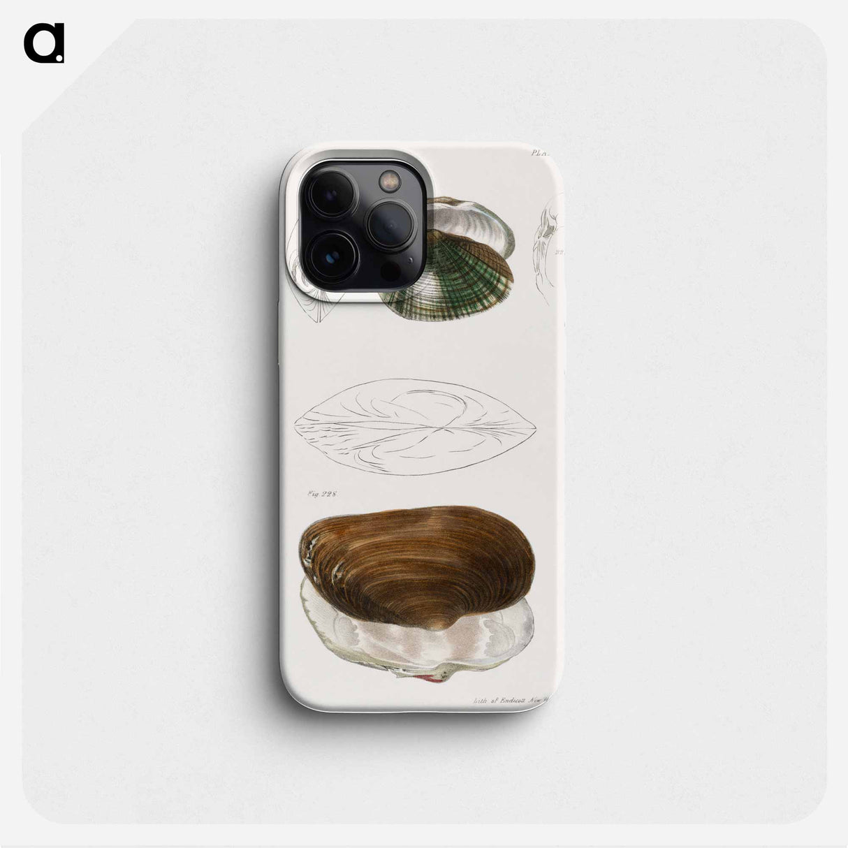 Alasmodon undulata.  Anodon unadilla. - ニューヨークの動物学 Phone Case.