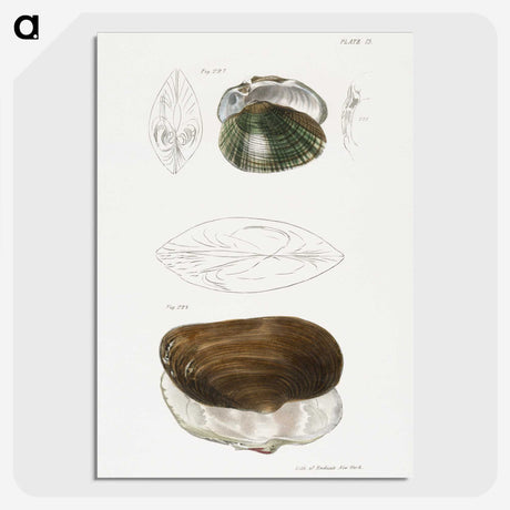 1-76_Zoology-of-New-York_picture-crop