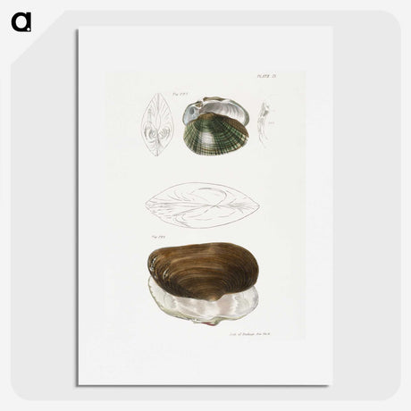 1-76_Zoology-of-New-York_picture