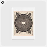 アートポストカード-Knob with white medallion - アルブレヒト デューラー Postcard.