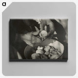 1-77_Alfred-Stieglitz_canvas