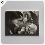 Georgia O’Keeffe—Hands - アルフレッド スティーグリッツ Canvas.