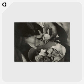 1-77_Alfred-Stieglitz_postcard
