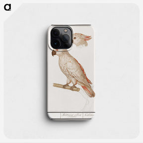 1-77_Anselmus-Boetius-de-Boodt_phone