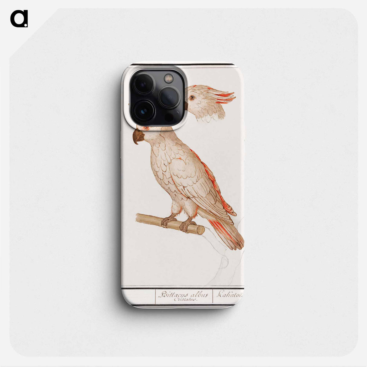 Salmon-crested cockatoo - アンセルムス ボエティウス デ ブート Phone Case.