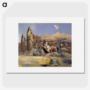 1-77_Birmingham-Museum-and-Art-Gallery_picture