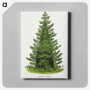 1-77_Botanical-Specimen-Plates_canvas