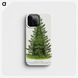 1-77_Botanical-Specimen-Plates_phone