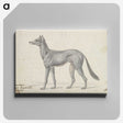 1-77_Charles-Hamilton-Smith_canvas