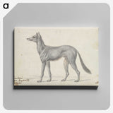 1-77_Charles-Hamilton-Smith_canvas