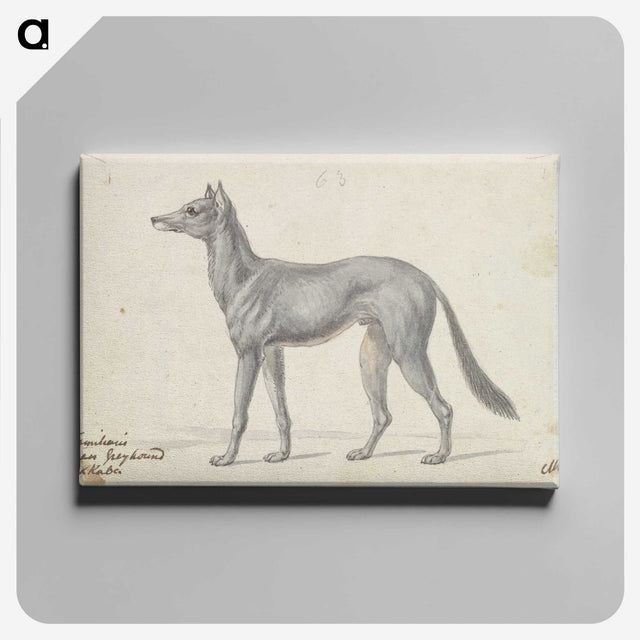 1-77_Charles-Hamilton-Smith_canvas