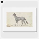 1-77_Charles-Hamilton-Smith_picture