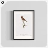 1-77_Des-Oiseaux-de-Paradis_blk