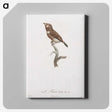 1-77_Des-Oiseaux-de-Paradis_canvas
