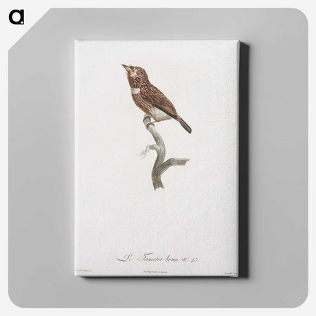 1-77_Des-Oiseaux-de-Paradis_canvas