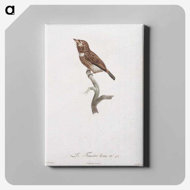 1-77_Des-Oiseaux-de-Paradis_canvas