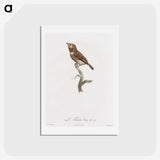 1-77_Des-Oiseaux-de-Paradis_hagaki