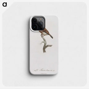 1-77_Des-Oiseaux-de-Paradis_phone