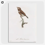 1-77_Des-Oiseaux-de-Paradis_picture-crop