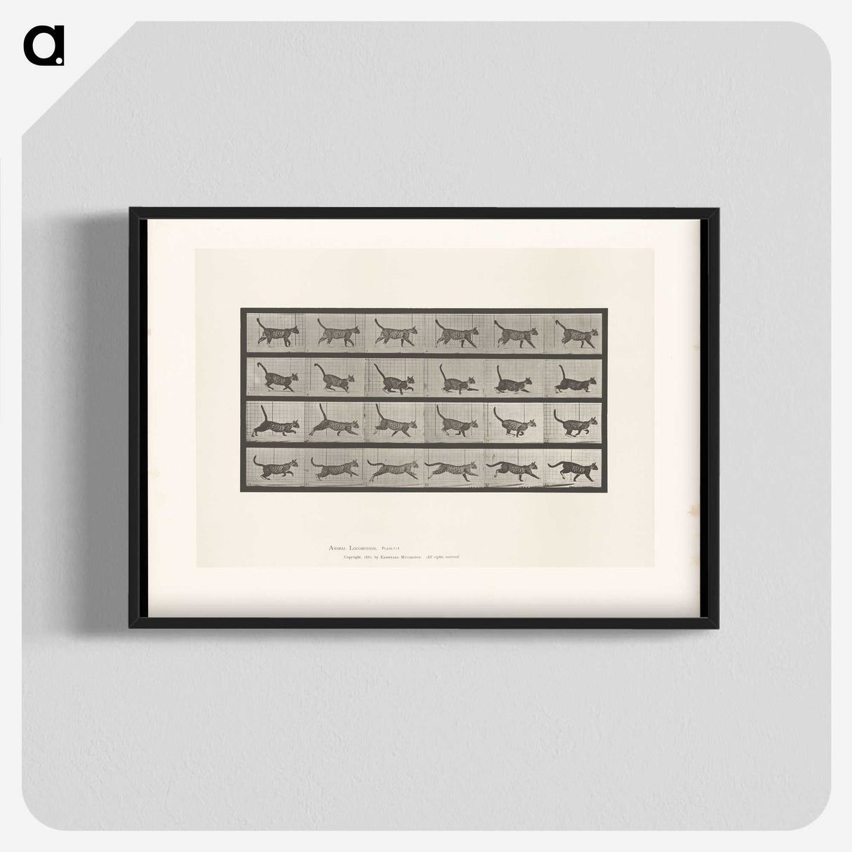 1-77_Eadweard-Muybridge_blk-crop