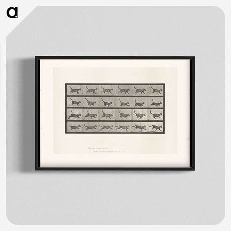 1-77_Eadweard-Muybridge_blk-crop