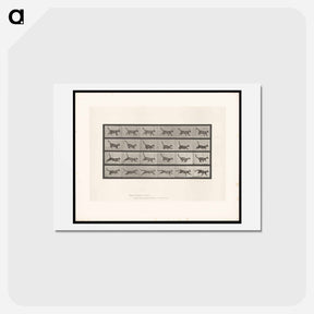アートポストカード-Running Cat
 - エドワード マイブリッジ Postcard.