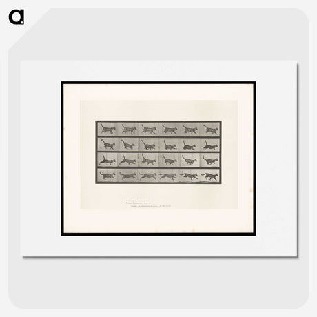 1-77_Eadweard-Muybridge_picture